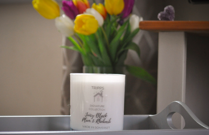 Juicy Black Plum and Rhubarb Candle
